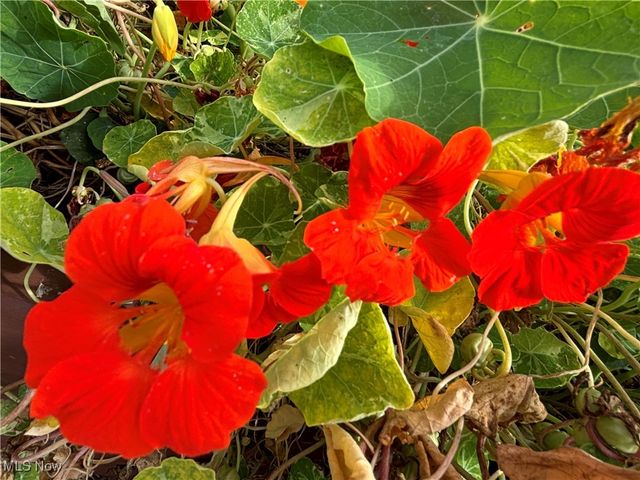 11838 Brosius Road, Garrettsville, OH 44231