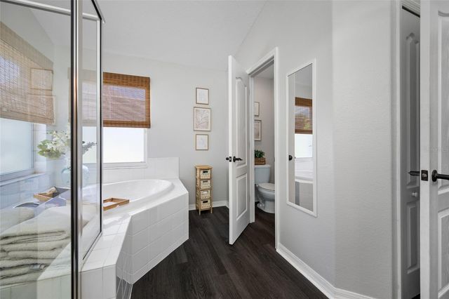 19254 FISHERMANS BEND DRIVE, Lutz, FL 33558