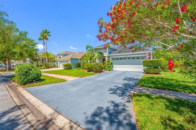 19254 FISHERMANS BEND DRIVE, Lutz, FL 33558