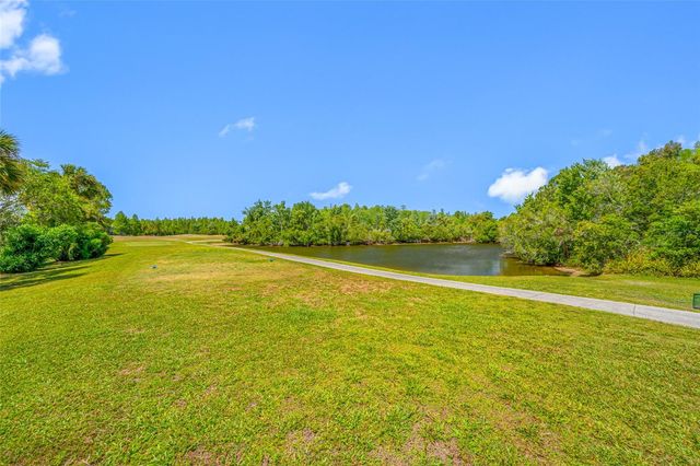 19254 FISHERMANS BEND DRIVE, Lutz, FL 33558