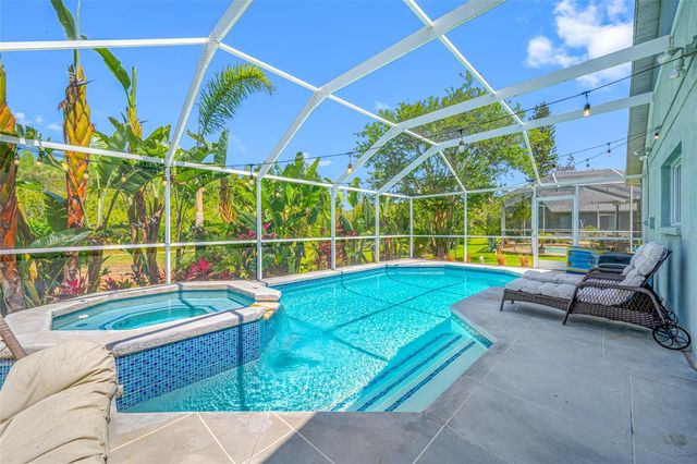 19254 FISHERMANS BEND DRIVE, Lutz, FL 33558