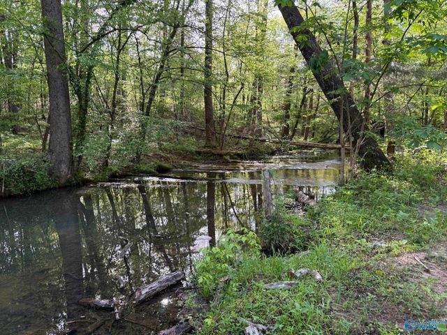 1140 County Road 797, Valley Head, AL 35989