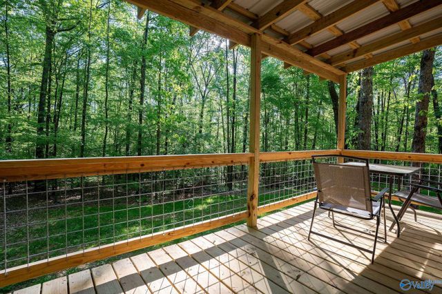 1140 County Road 797, Valley Head, AL 35989