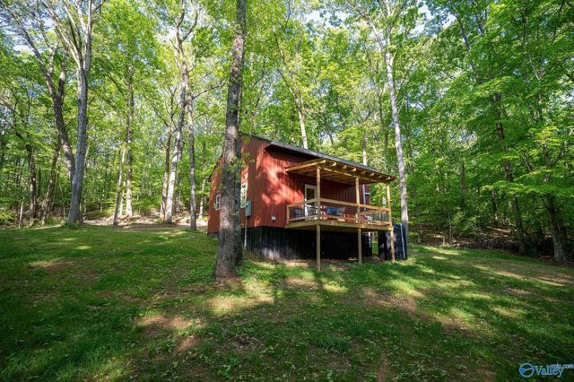 1140 County Road 797, Valley Head, AL 35989