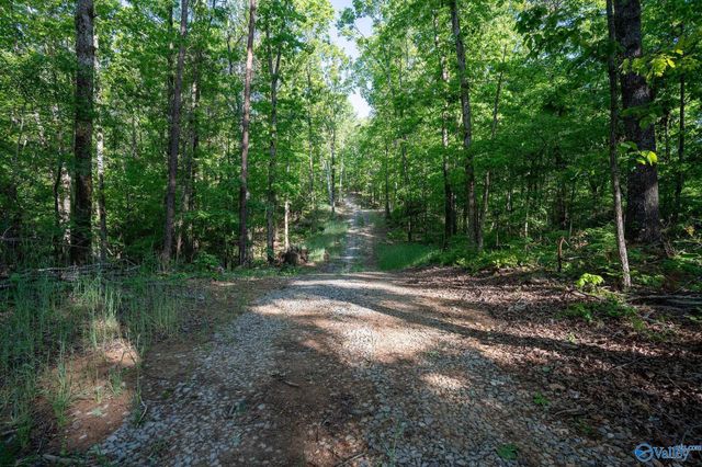 1140 County Road 797, Valley Head, AL 35989