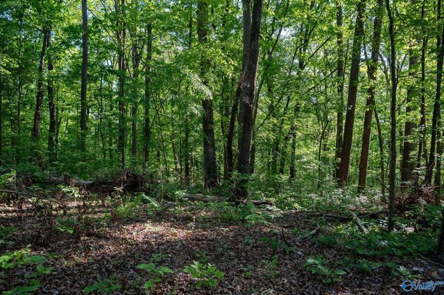 1140 County Road 797, Valley Head, AL 35989