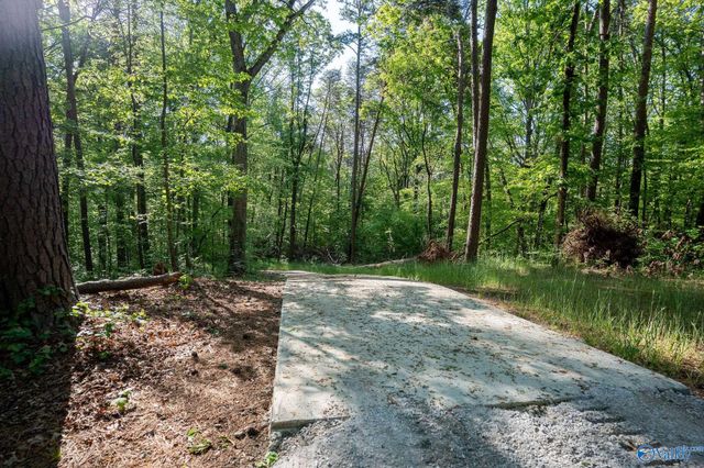 1140 County Road 797, Valley Head, AL 35989
