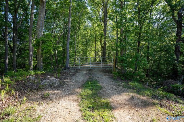 1140 County Road 797, Valley Head, AL 35989