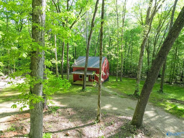 1140 County Road 797, Valley Head, AL 35989