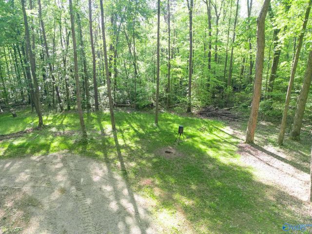 1140 County Road 797, Valley Head, AL 35989
