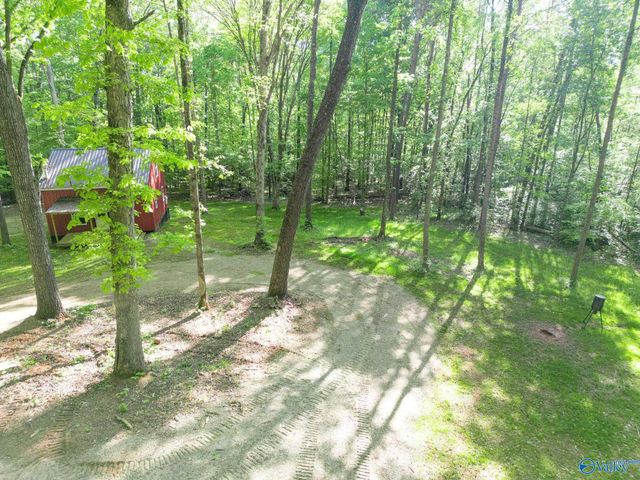 1140 County Road 797, Valley Head, AL 35989
