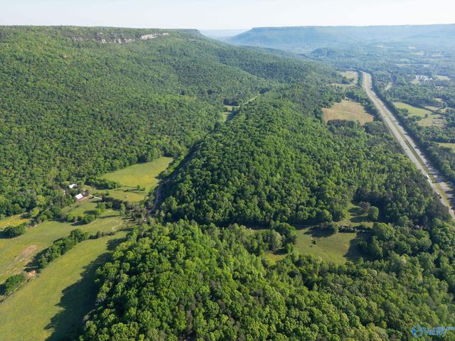 1140 County Road 797, Valley Head, AL 35989