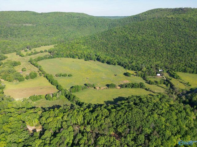 1140 County Road 797, Valley Head, AL 35989