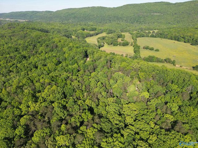 1140 County Road 797, Valley Head, AL 35989