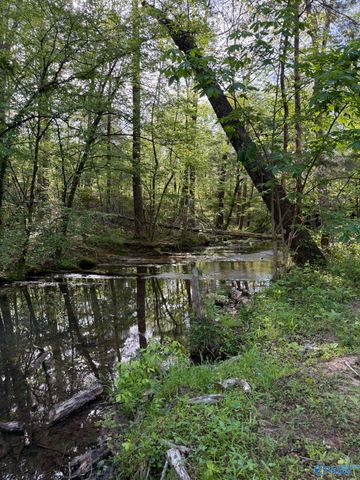 1140 County Road 797, Valley Head, AL 35989