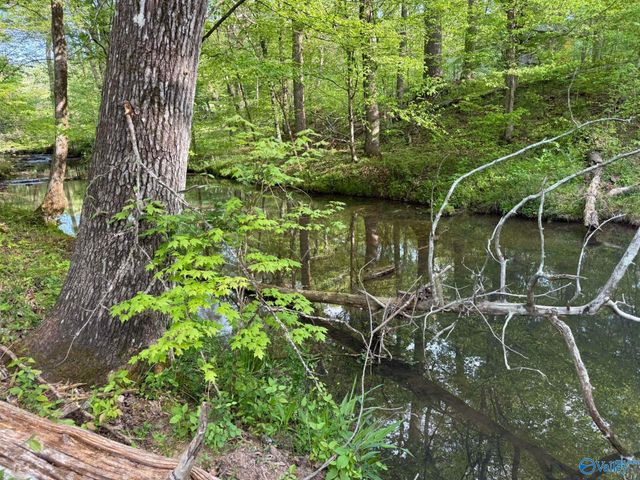 1140 County Road 797, Valley Head, AL 35989