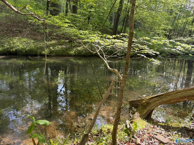 1140 County Road 797, Valley Head, AL 35989