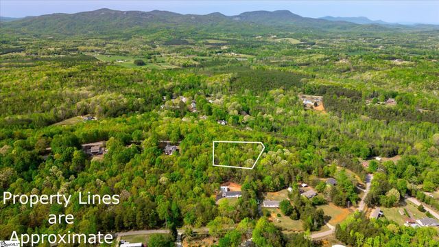 0 Packs Mountain Ridge Road, Taylors, SC 29687