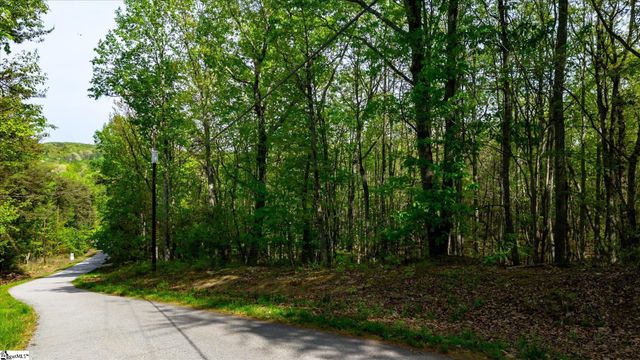 0 Packs Mountain Ridge Road, Taylors, SC 29687