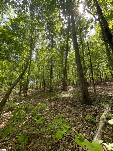 0 Packs Mountain Ridge Road, Taylors, SC 29687