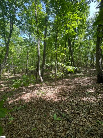 0 Packs Mountain Ridge Road, Taylors, SC 29687
