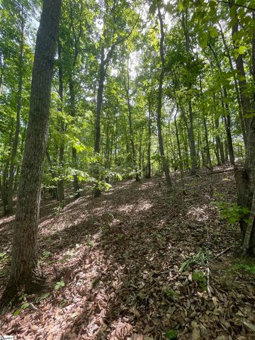0 Packs Mountain Ridge Road, Taylors, SC 29687