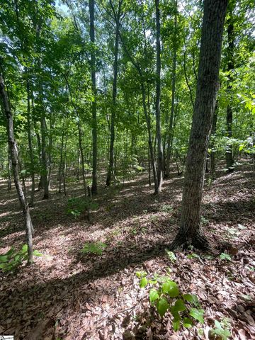 0 Packs Mountain Ridge Road, Taylors, SC 29687