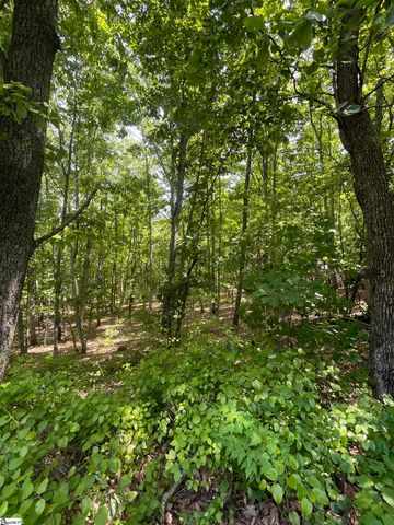 0 Packs Mountain Ridge Road, Taylors, SC 29687