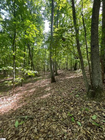 0 Packs Mountain Ridge Road, Taylors, SC 29687