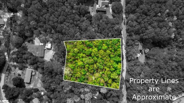 0 Packs Mountain Ridge Road, Taylors, SC 29687