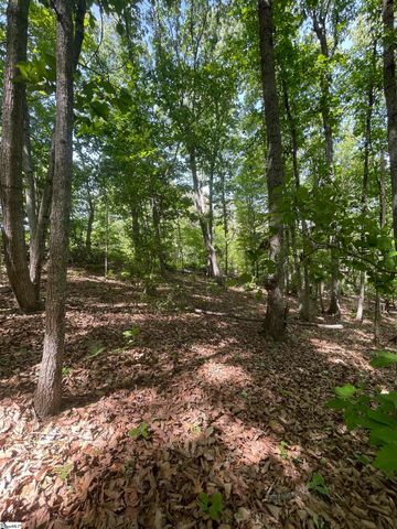 0 Packs Mountain Ridge Road, Taylors, SC 29687
