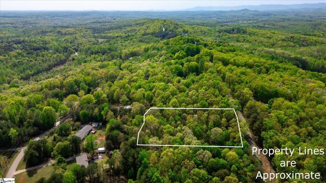 0 Packs Mountain Ridge Road, Taylors, SC 29687
