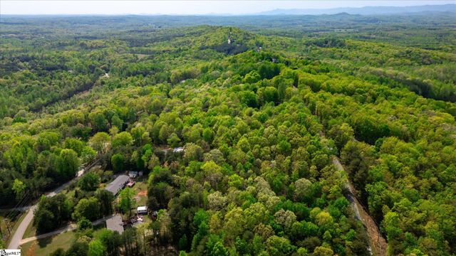 0 Packs Mountain Ridge Road, Taylors, SC 29687