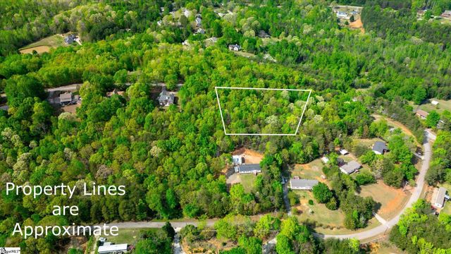 0 Packs Mountain Ridge Road, Taylors, SC 29687