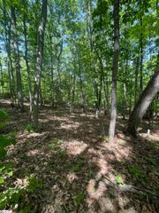 0 Packs Mountain Ridge Road, Taylors, SC 29687