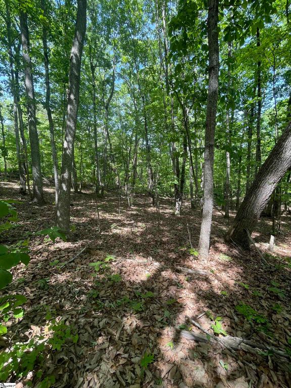 0 Packs Mountain Ridge Road, Taylors, SC 29687