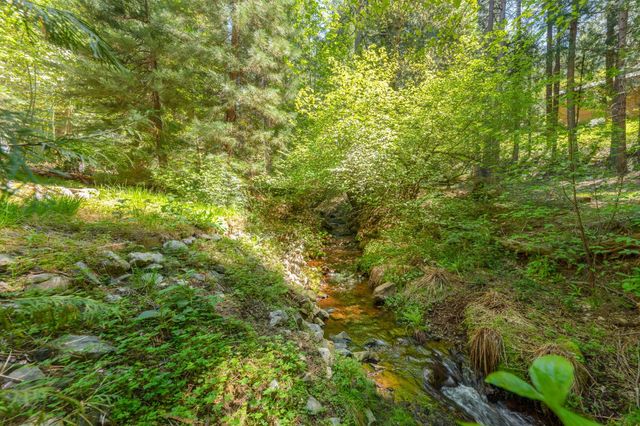 3148 Amber Trl, Pollock Pines, CA 95726