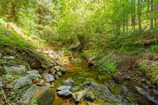 3148 Amber Trl, Pollock Pines, CA 95726