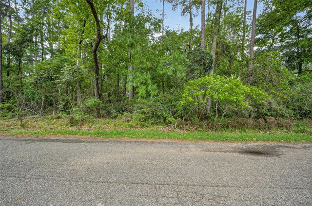 1007 W Cedar River Road, Conroe, TX 77316