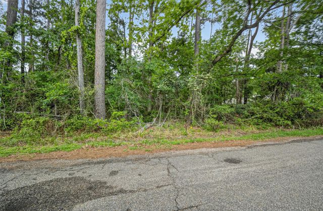 1007 W Cedar River Road, Conroe, TX 77316