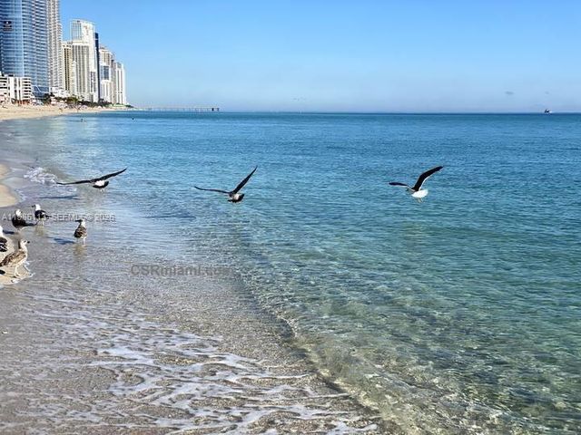 17550 Collins Ave 1202, Sunny Isles Beach, FL 33160