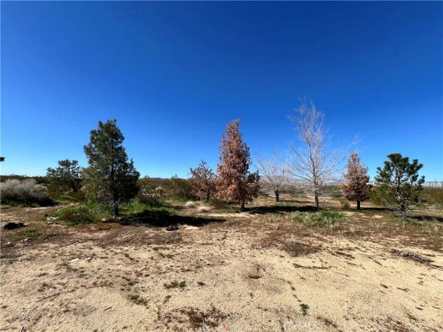 10376 55th West, Mojave, CA 93501
