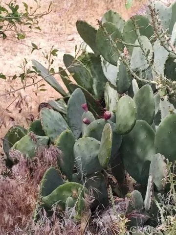 10376 55th West, Mojave, CA 93501