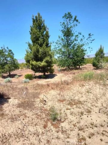 10376 55th West, Mojave, CA 93501
