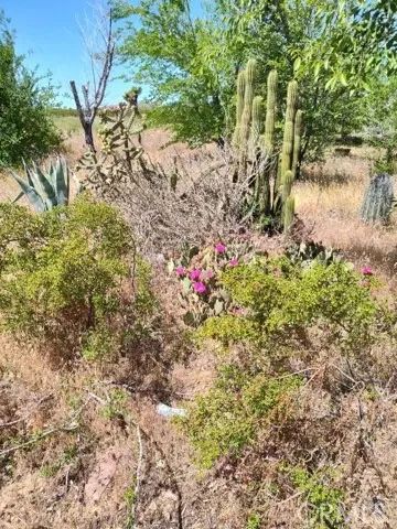 10376 55th West, Mojave, CA 93501