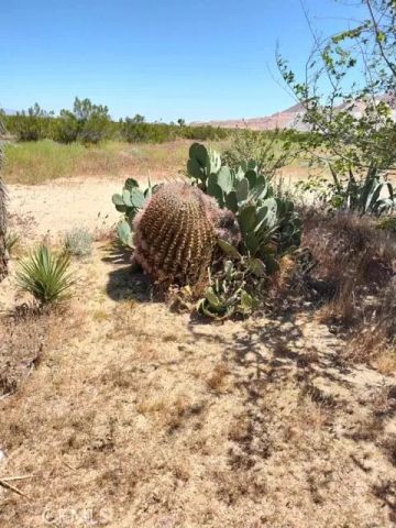 10376 55th West, Mojave, CA 93501