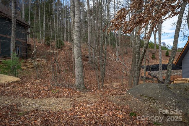 31 Old Lafayette Lane 22, Black Mountain, NC 28711