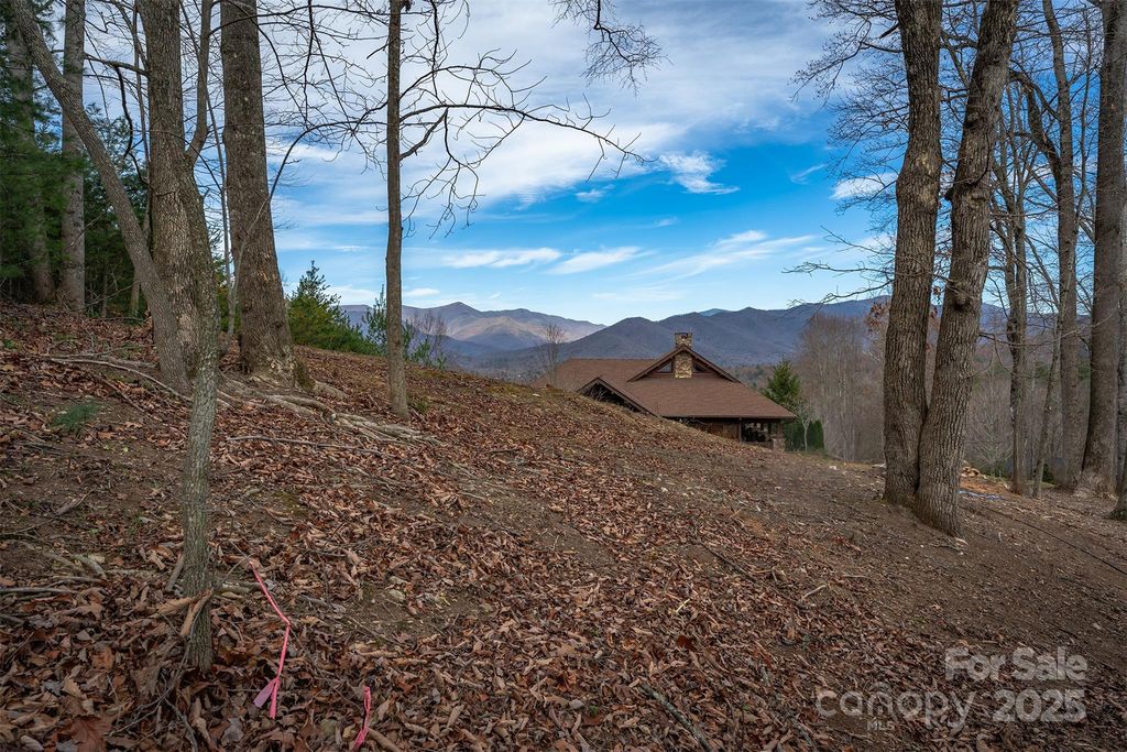 31 Old Lafayette Lane 22, Black Mountain, NC 28711