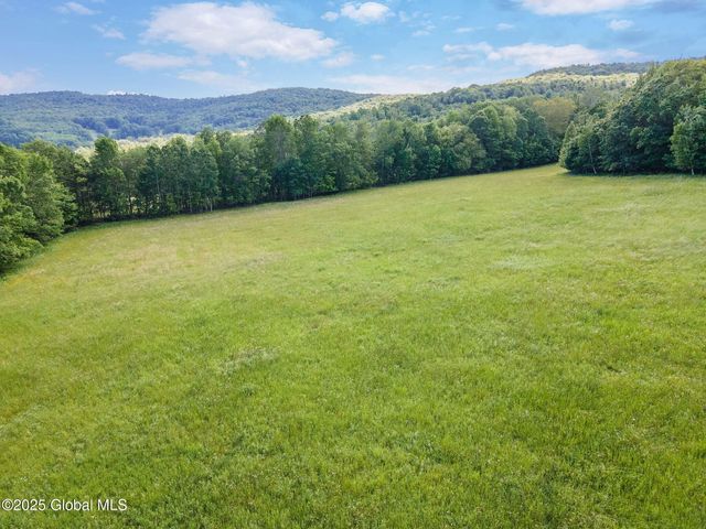 755 State Route 10, Jefferson, NY 12093