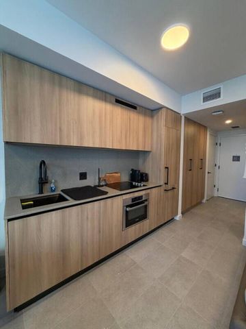 121 NE 5TH Street 2309, Miami, FL 33132